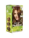 GARNIER NUTRISSE  TINTE COLOR CHOCOLATE