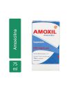 Amoxil Suspensión 250mg/5mL Caja Con Frasco Con Polvo Para 75mL - RX2