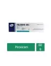 Feldene Gel 0.5 % de Piroxicam Caja Con Tubo de 60 g